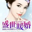 盛世暖婚(網路小說)