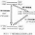 營業標記法