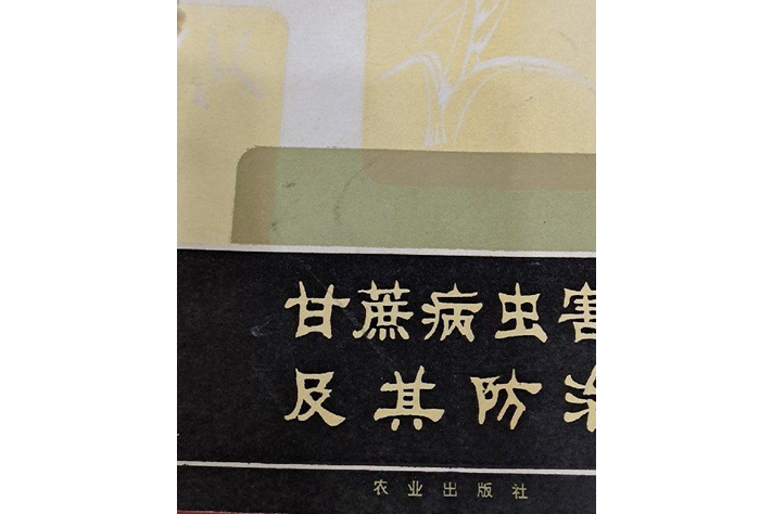 甘蔗病蟲害及其防治