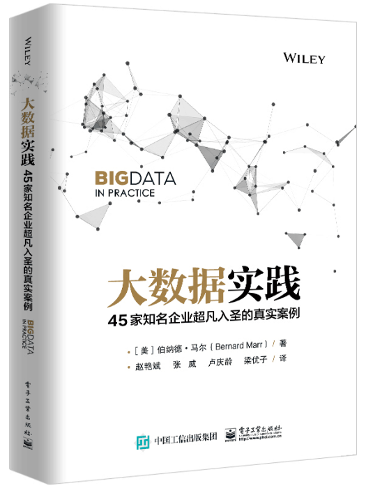 大數據實踐(2020年電子工業出版社出版的圖書)