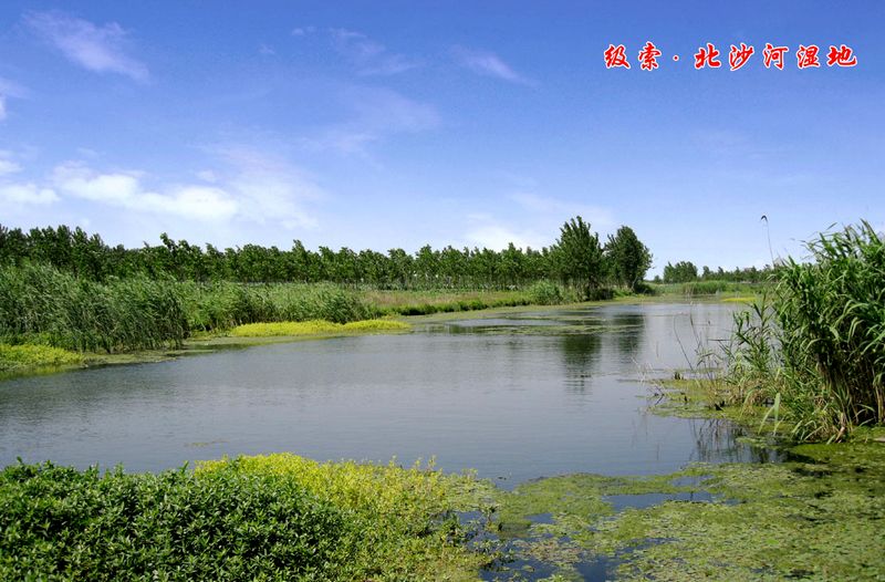 北沙河(北京市河流（溫榆河支流）)