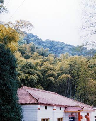 黃草山