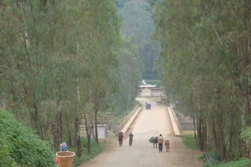 大水井村(貴州省貴陽市息烽縣流長鄉下轄村)