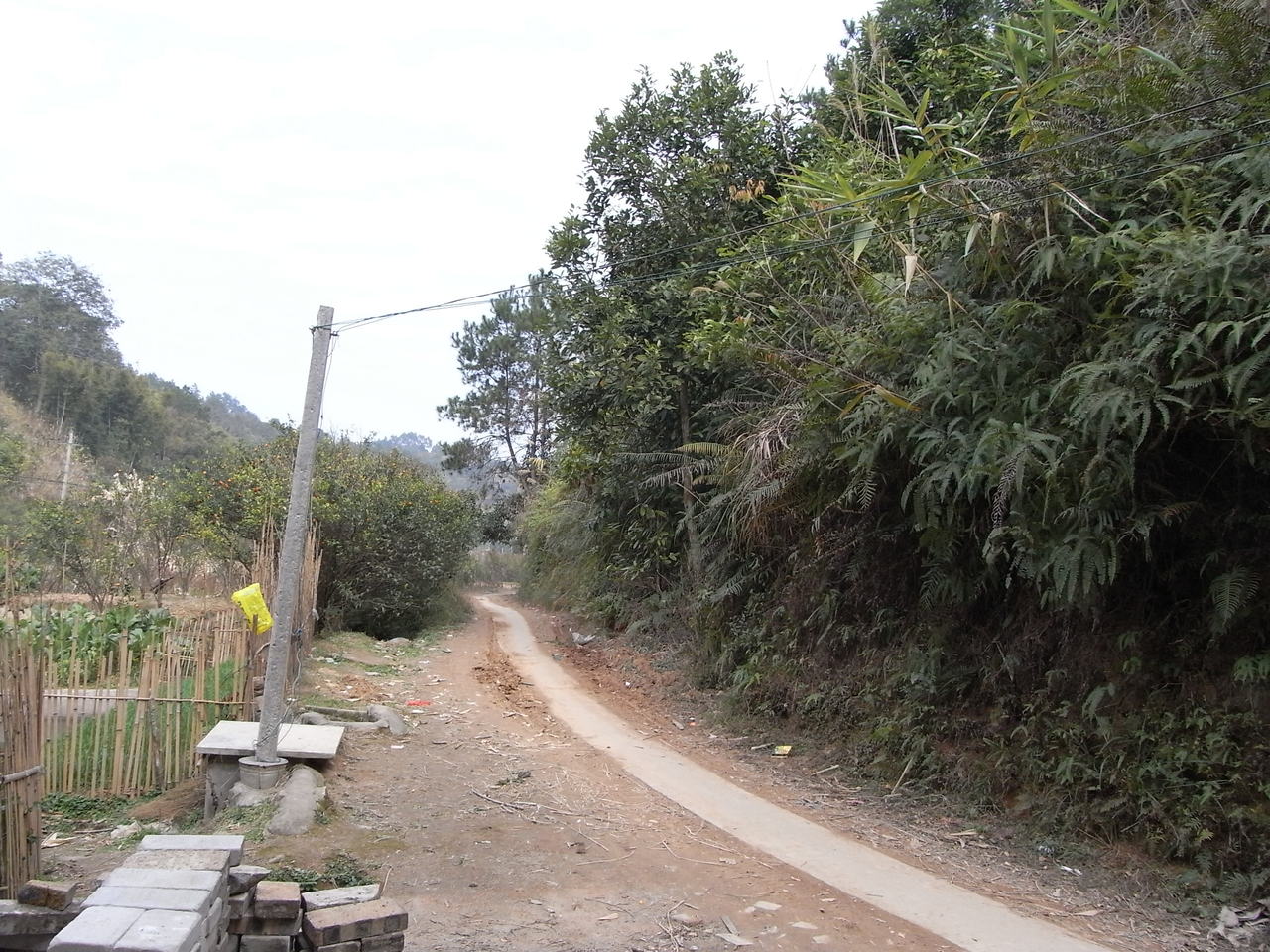 獨堆村(廣西貴港市羅秀鎮下轄村)