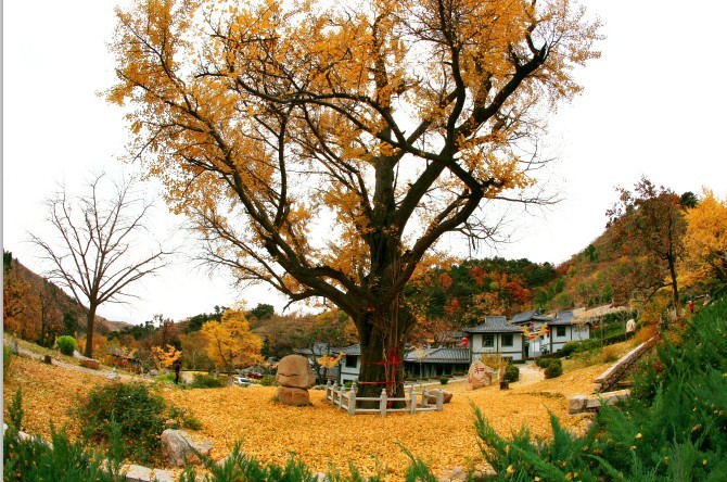 遵化禪林寺