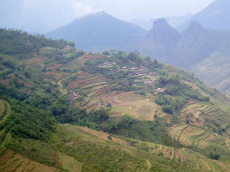 龍塘田自然村(雲南省鎮沅縣者東鎮龍塘田自然村)