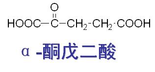 α-酮戊二酸