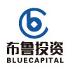 布魯投資Logo