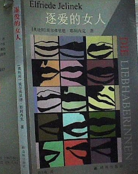 逐愛的女人(2008年譯林出版社出版的圖書)