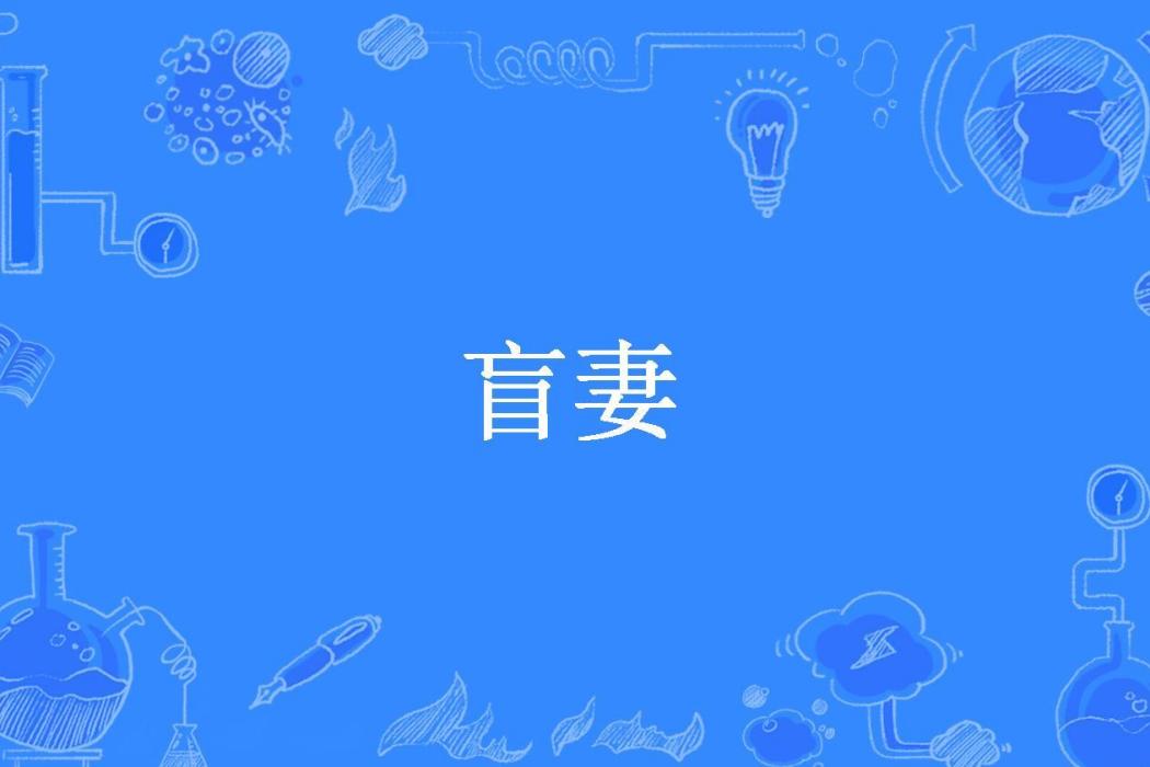 盲妻(小蜜蜂所著小說)