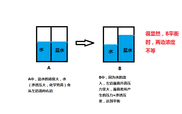 高滲透壓作用