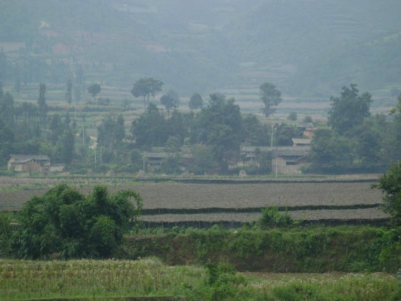 新發村(湖北省孝感市雲夢縣伍洛鎮新發村)