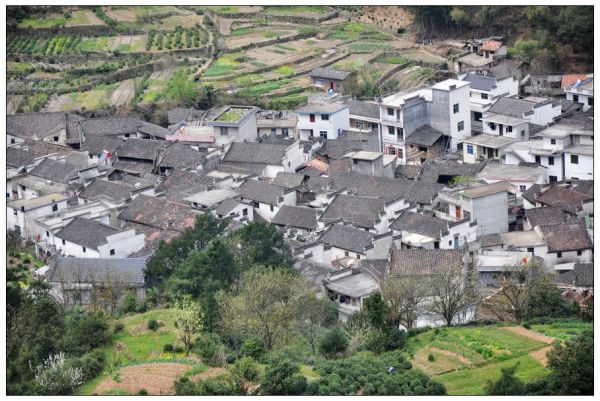 來龍村(安徽省馬鞍山市博望區鎮來龍村)