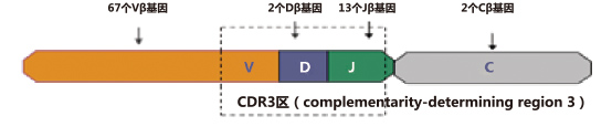 免疫檢測