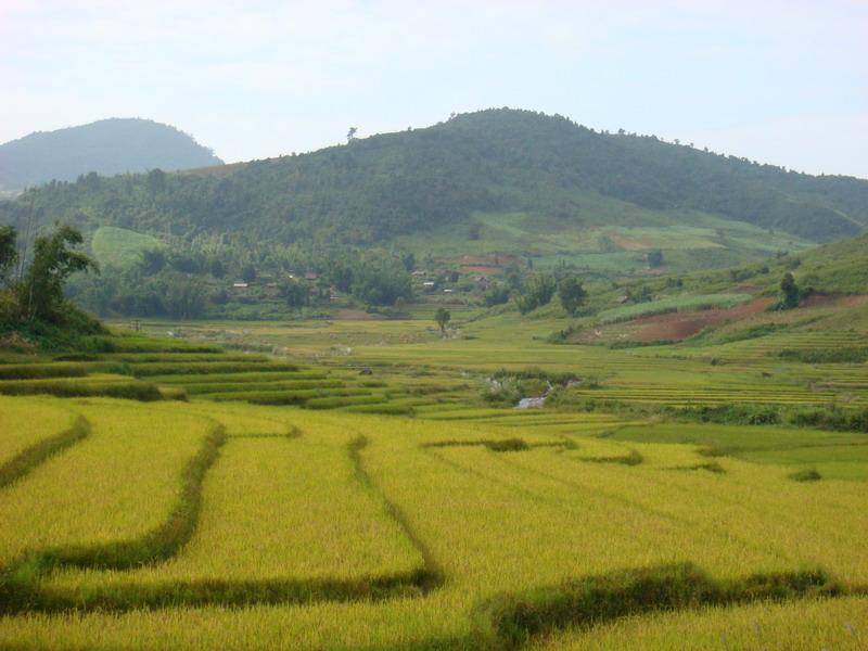 下東明村