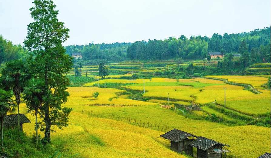 豐山(贛州豐山)