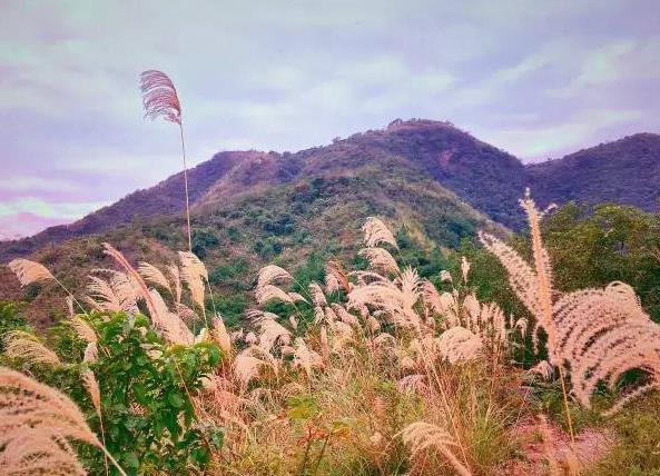 廣東六王山森林公園