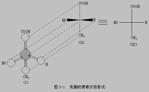 乳酸的費歇爾投影式