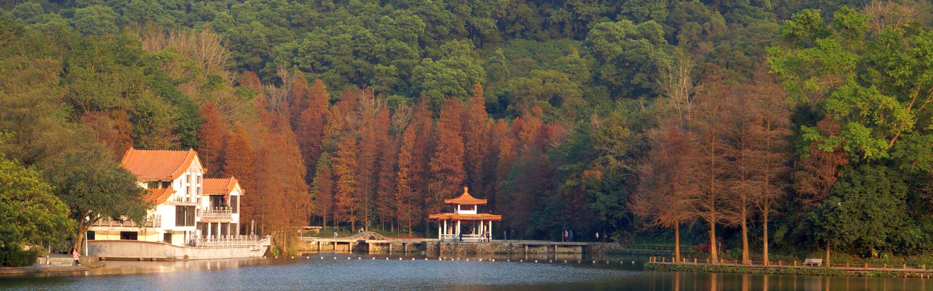 深圳市中國科學院仙湖植物園