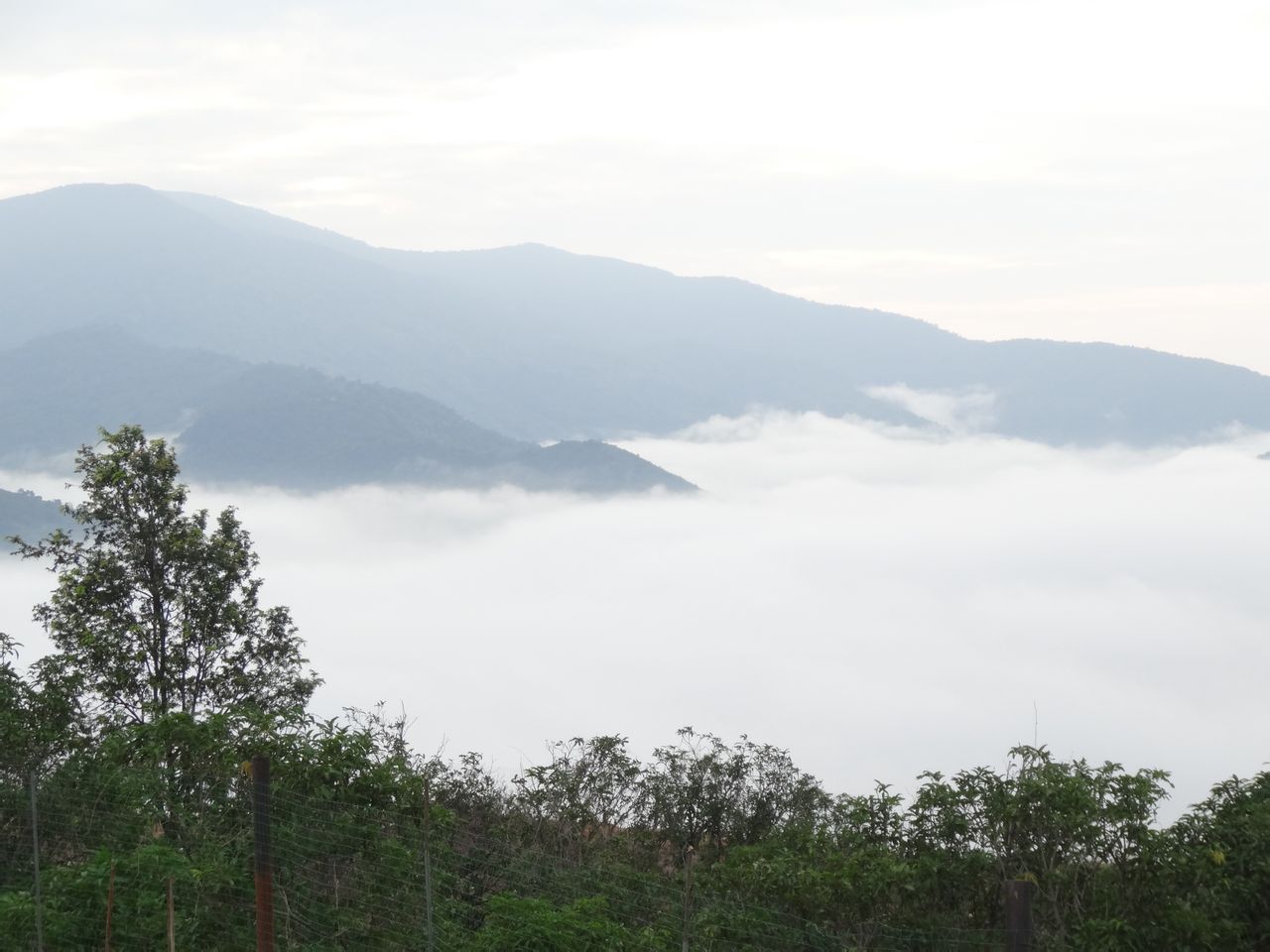 生態果園