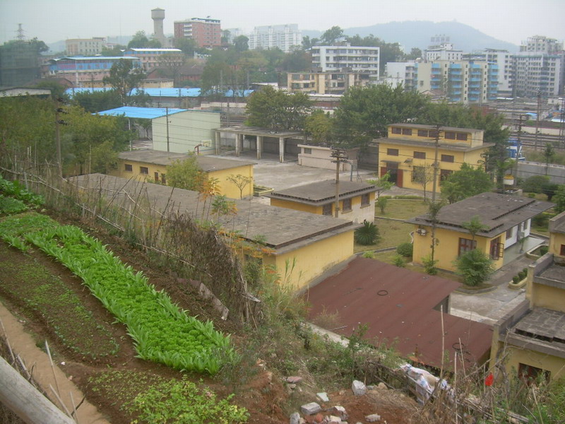 南街村(山西省臨汾市襄汾縣古城鎮南街村)