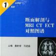 斷面解剖與MRI CT ECT對照圖譜(1)-頭頸部胸部