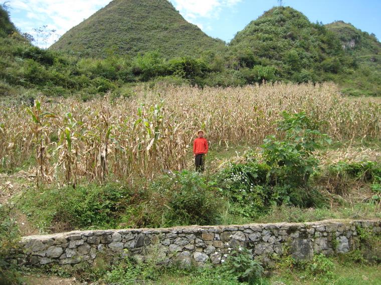 小河溝自然村(雲南省昭通魯甸縣水磨鎮黃泥寨小河溝自然村)