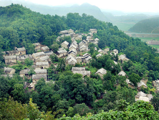 大洋村(山西省朔州市山陰縣安榮鄉下轄村)