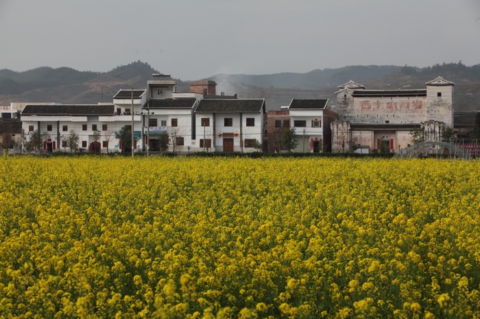 林寨古村(河源林寨古村落)