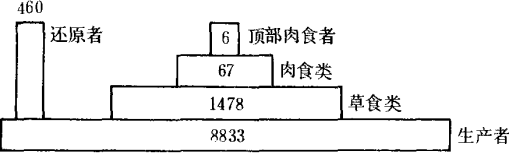 生產力金字塔