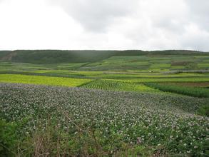 高美古村落