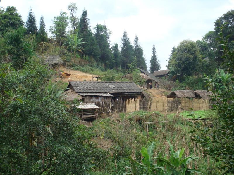 苗村(山西運城市夏縣尉郭鄉苗村)