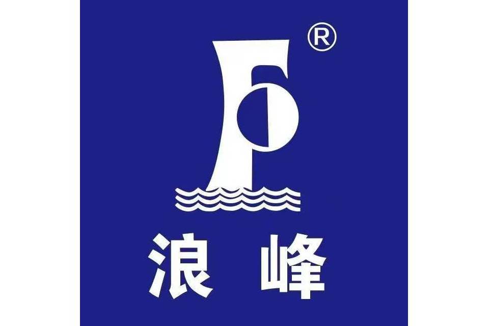 浪峰集團股份有限公司