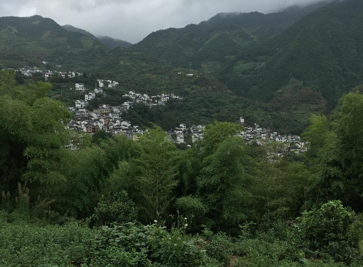 金竹村(安徽省黃山市歙縣杞梓里鎮金竹村)