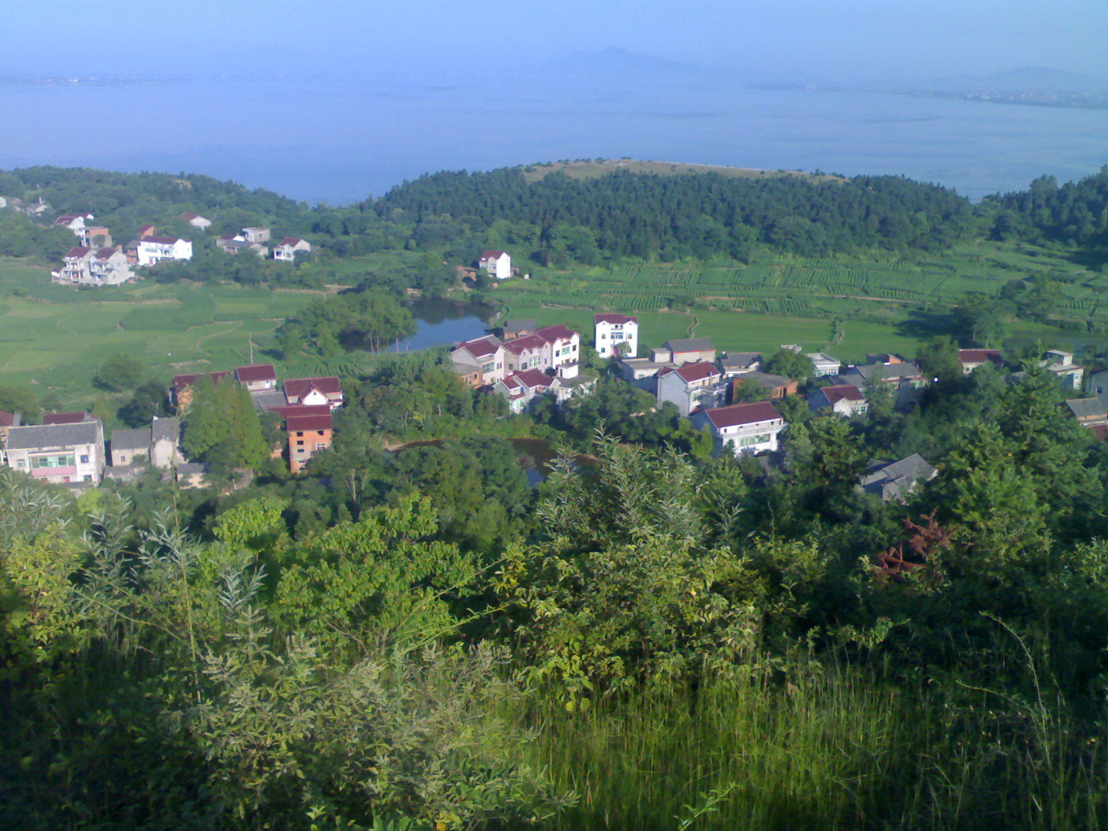 彭山村(安徽省銅陵市樅陽縣湯溝鎮下轄村)