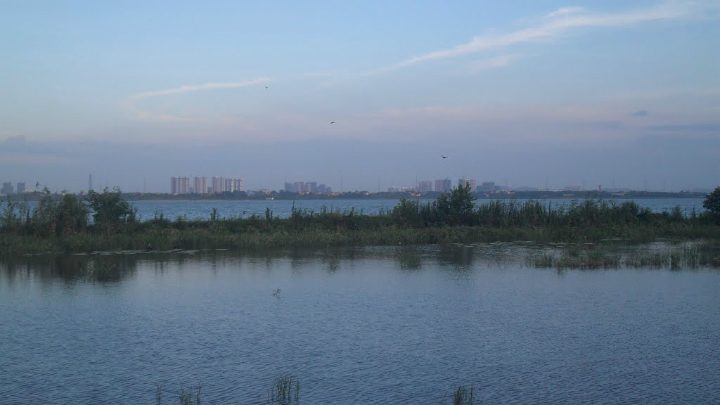 夜幕黃家湖湖北中醫藥大學