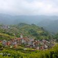 蓮花村(江西省宜豐縣潭山鎮蓮花村)