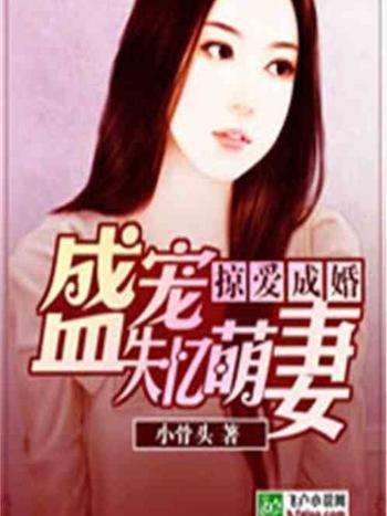 掠愛成婚：盛寵失憶萌妻