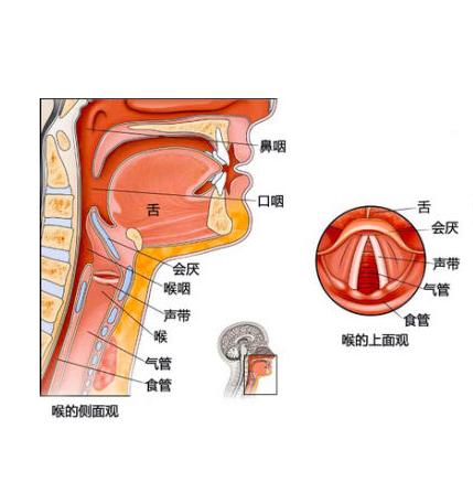 喉部刺痛