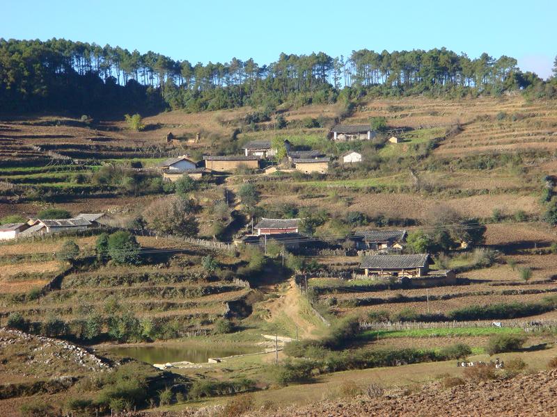 馬鹿塘村(雲南寧蒗縣永寧坪鄉下轄村)