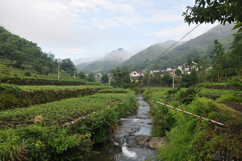 清溪村(桃花潭鎮清溪村)