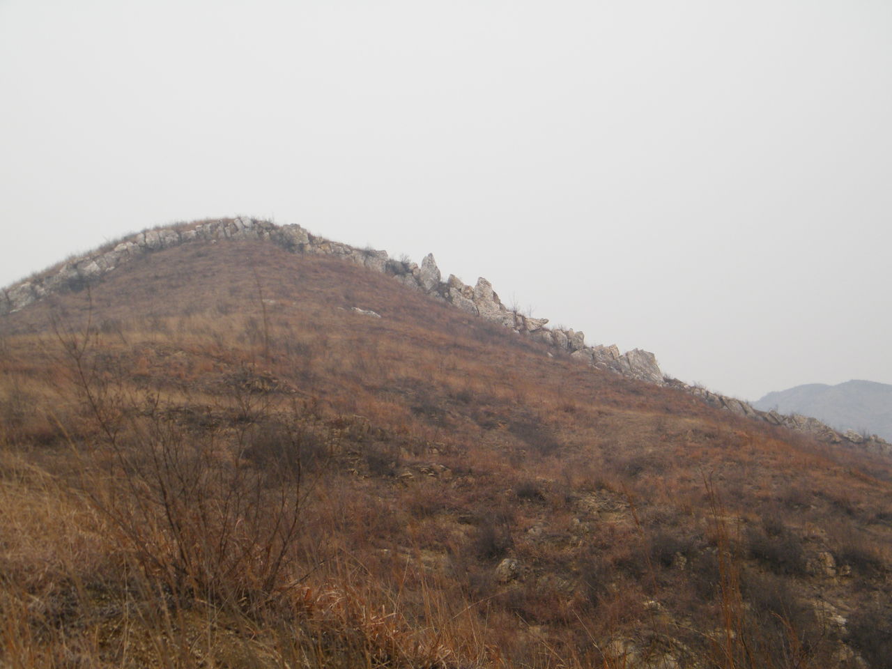 南雅握白養山