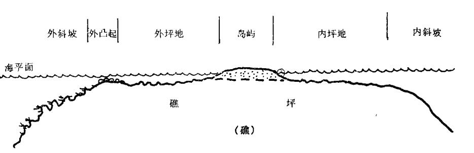 礁坪綜合分帶示意圖