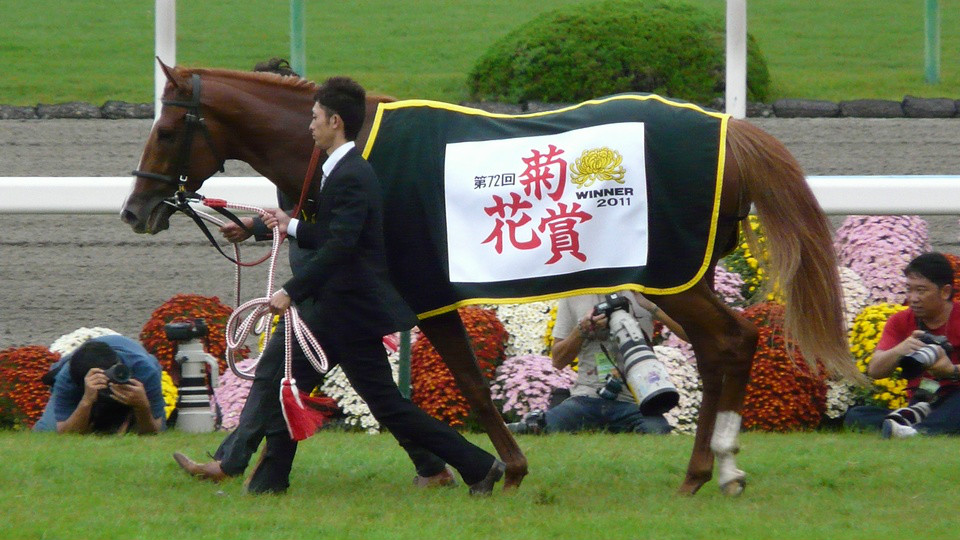 黃金巨匠