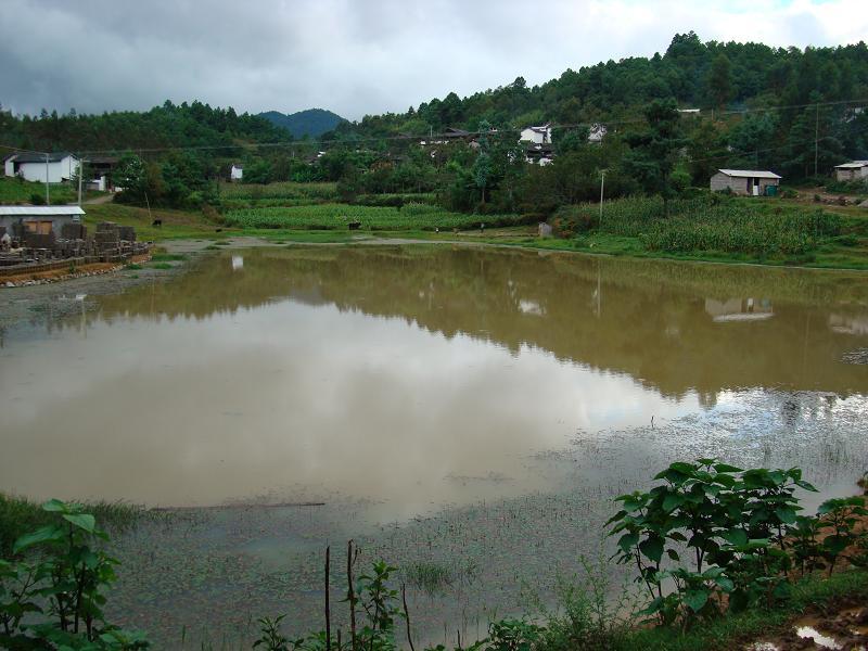 浪壩自然村(雲南臨滄市鳳慶縣下轄村)