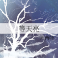 等天亮(小說)