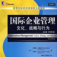 國際企業管理-文化、戰略與行為