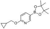 2-（環丙基甲氧基）-5-（4,4,5,5-四甲基-1,3,2-二雜氧戊硼烷-2-基）吡啶