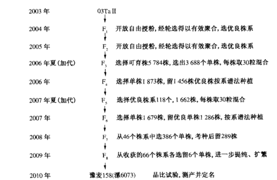 豫麥158