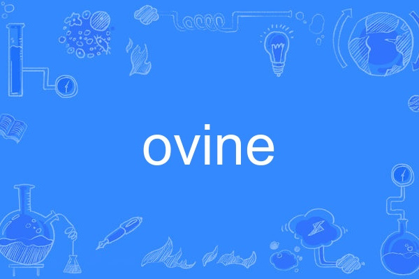 ovine